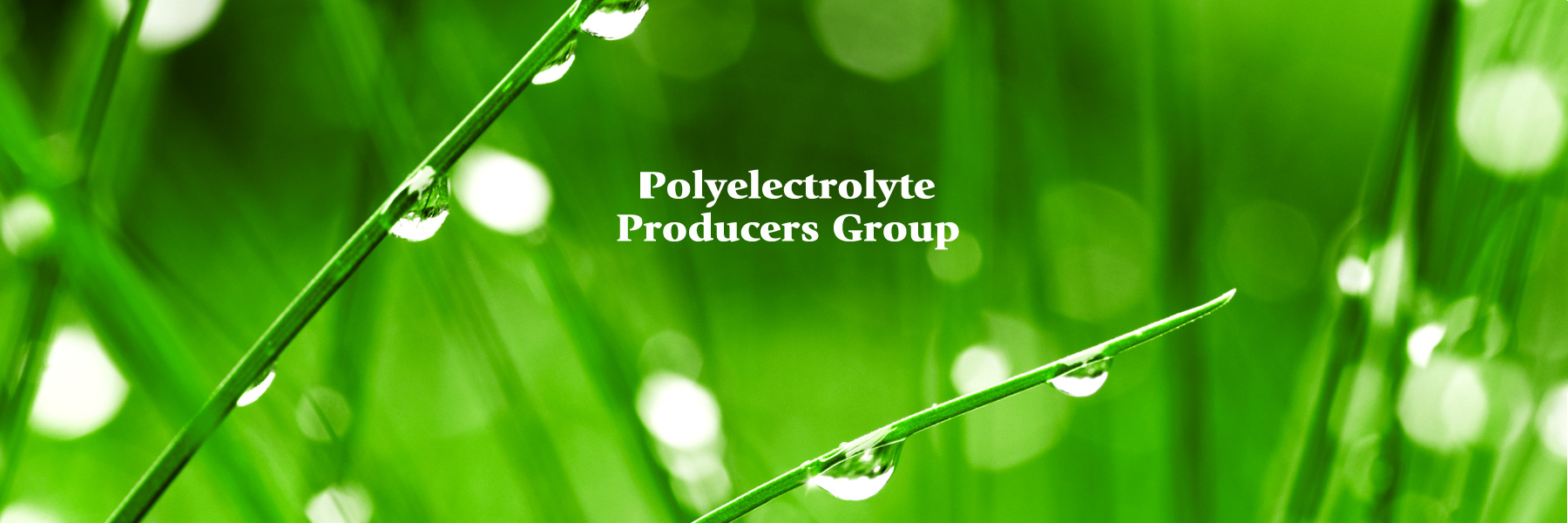 Polyelectrolyte Producers Group